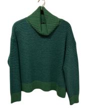 Boxy Mini Stripe Turtleneck - Kelly Green/Teal