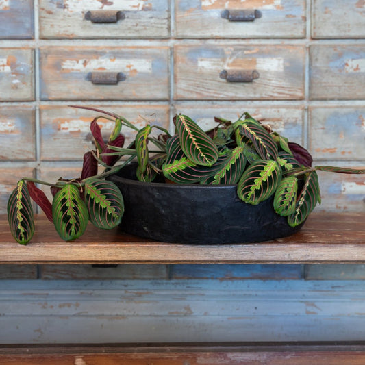 Reclaimed Wooden Black Bowl 18"