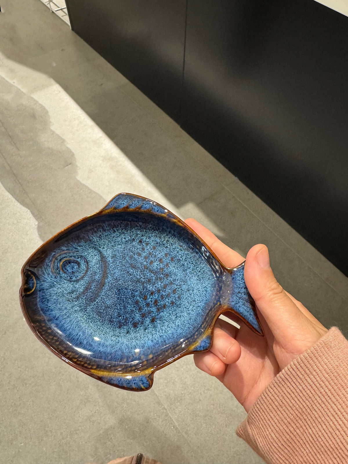 Blue Fish Dish