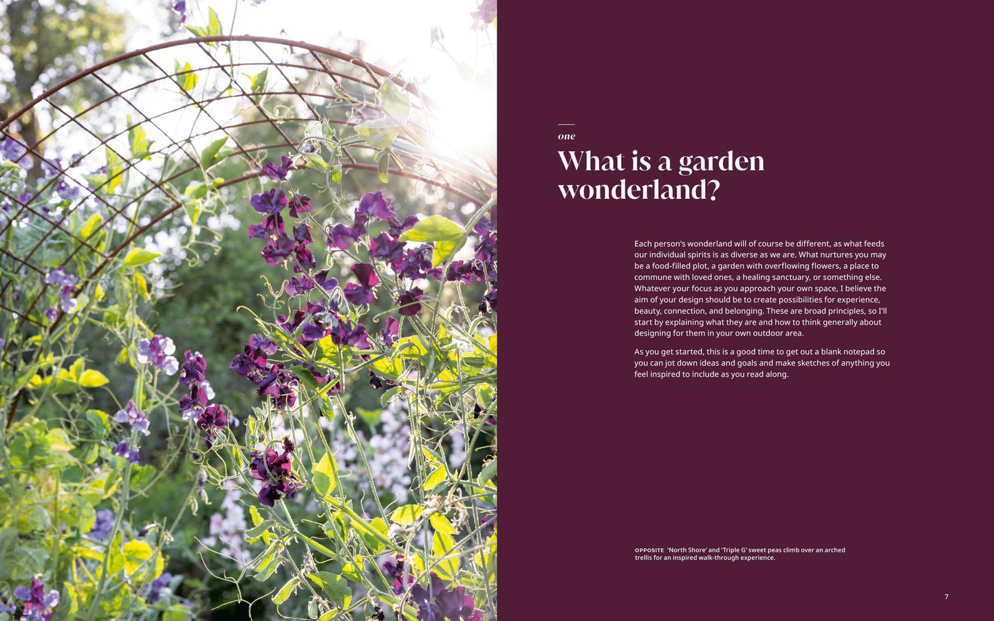 Garden Wonderland