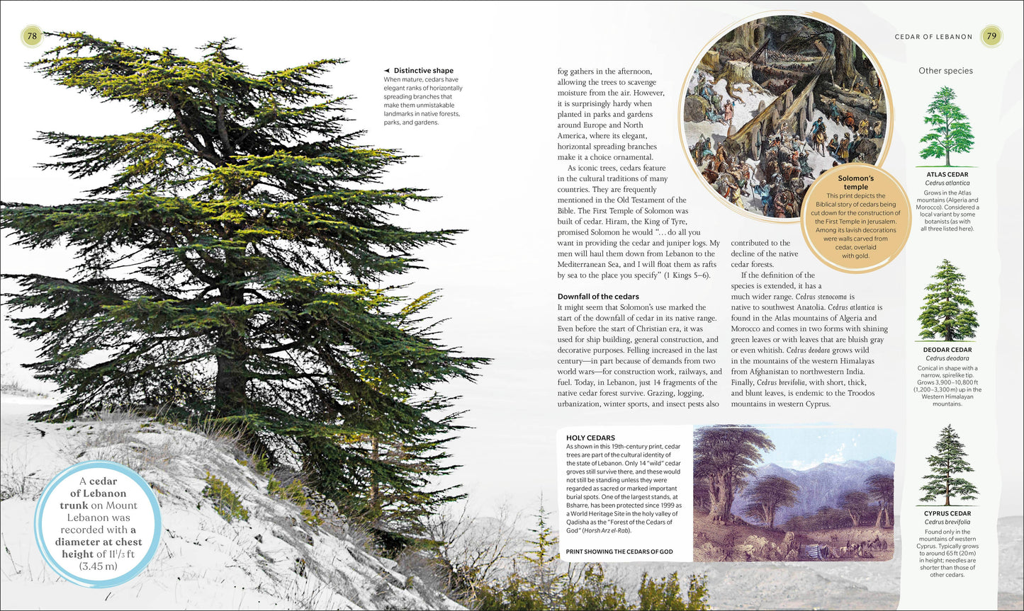 Tree Book