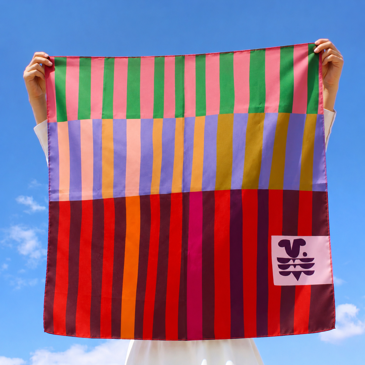 Red Colorblock Scarf