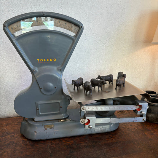 Large Toledo Scale