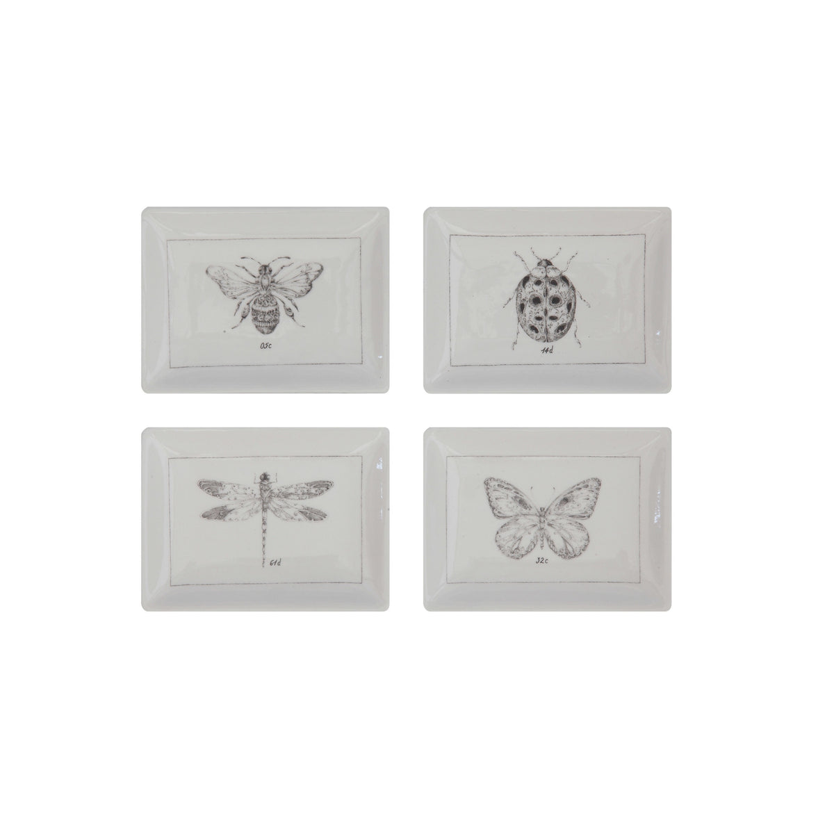 Ceramic Dish with Insect