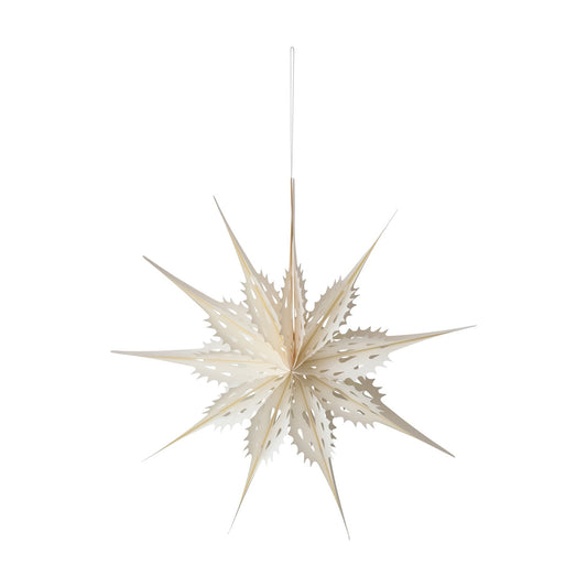 Large Paper Snowflake