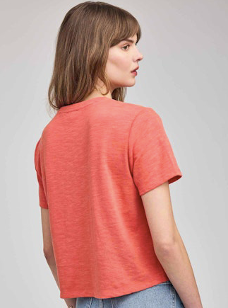Fabie Short Sleeve Top - 2 colors