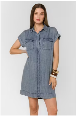 Starla Dress