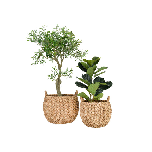 Woven Water Hyacinth Baskets with Handles - 2 sizes