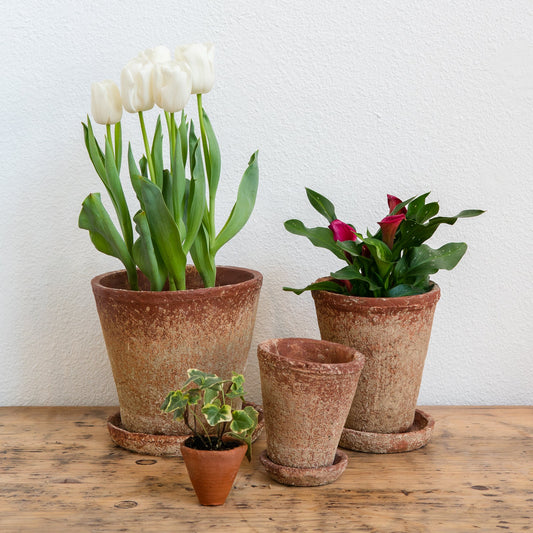 Cement Planter w/ Saucer 5.25"