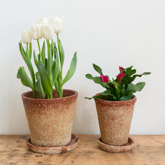 Cement Planter w/ Saucer 7"