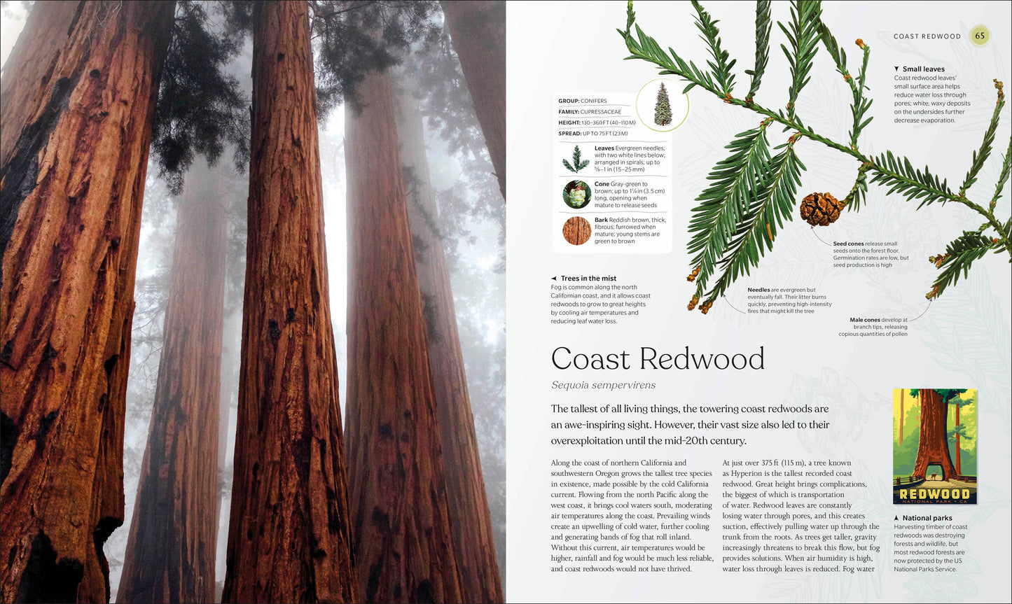 Tree Book