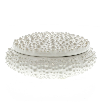 Sea Urchin Ceramic Box