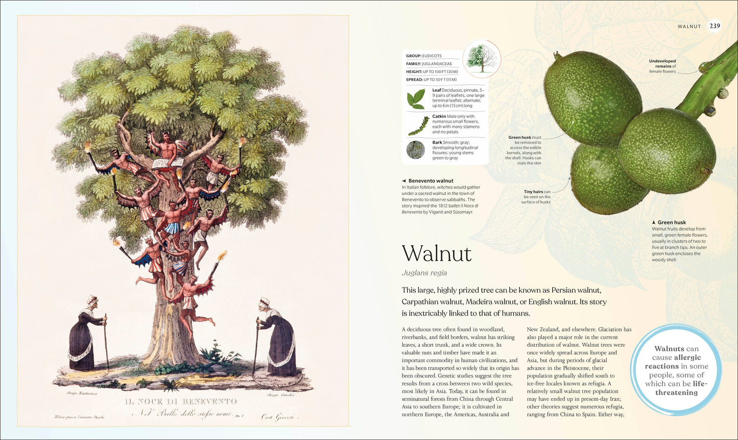 Tree Book