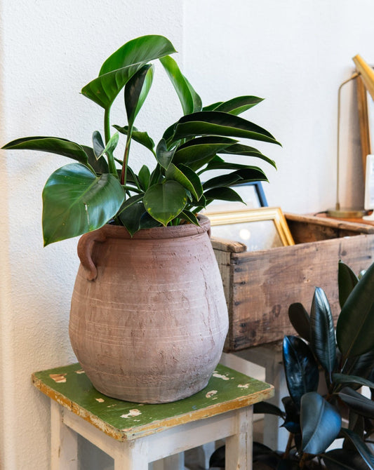 Terracotta Urn