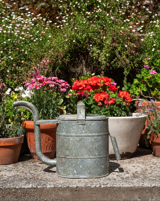 Steel Watering Can